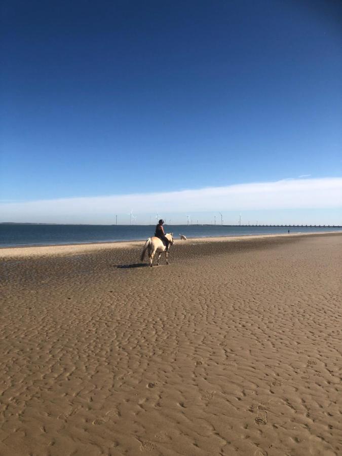 Dorpsdijk 49, Vrouwenpolder Vakantie מראה חיצוני תמונה
