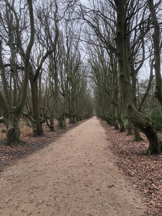Dorpsdijk 49, Vrouwenpolder Vakantie מראה חיצוני תמונה